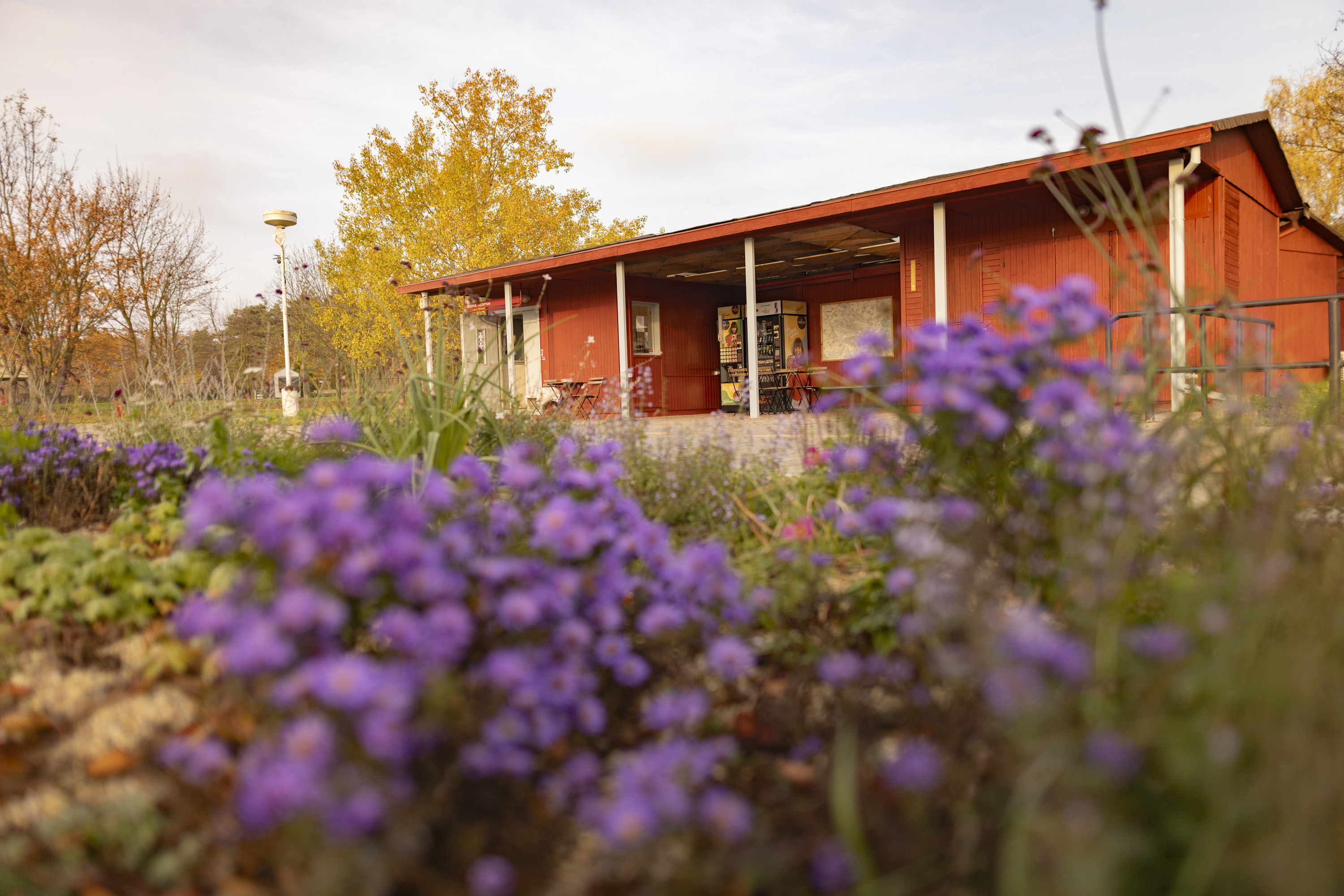 RV park - Hořín - Camp Dzban
