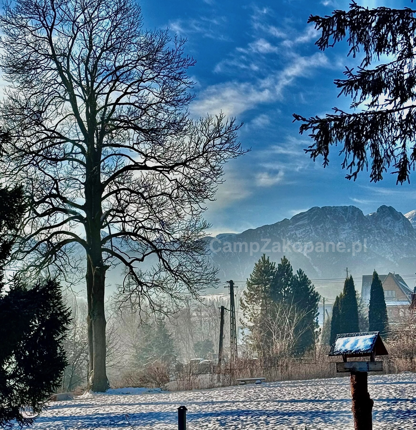 Wohnmobilstellplatz: Wintercamping Camp Harenda Zakopane mit Gubalowka – verschneites Gelände mit Bäumen und Tatra-Winterpanorama - Camp Harenda Zakopane - Piazzole, Tempo libero, Vicinanze