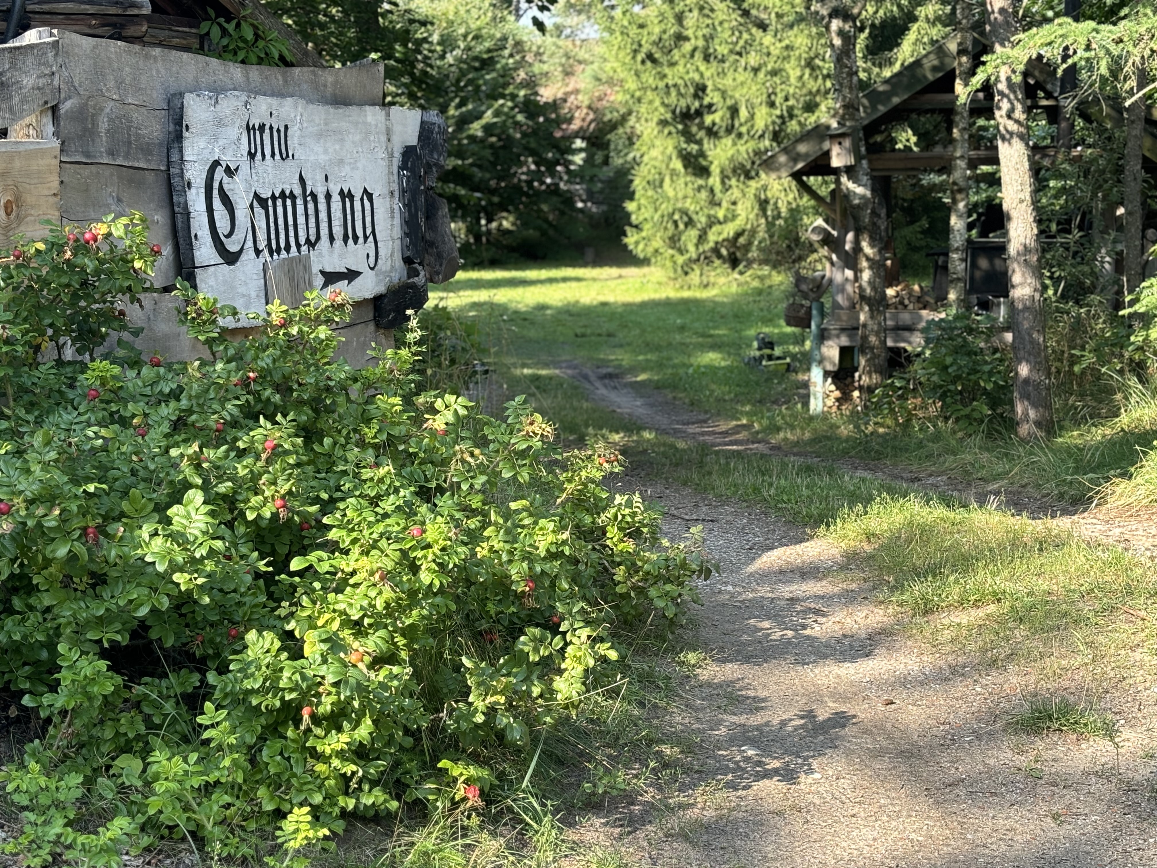 Reisemobilstellplatz - Ermland-Masuren - Zum Teich Naturtouristik
