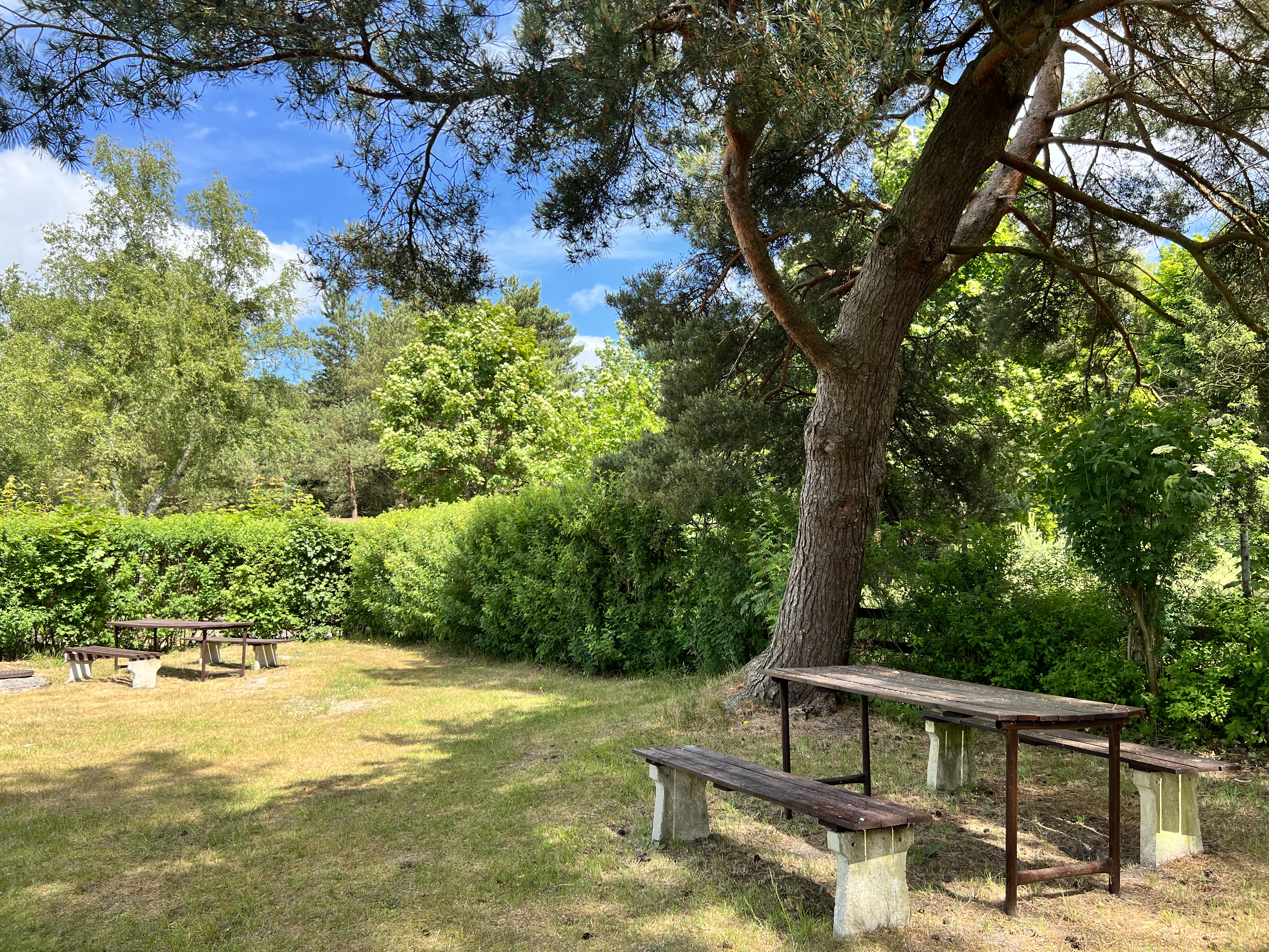 Reisemobilstellplatz - Pommern - Camping Morski 101