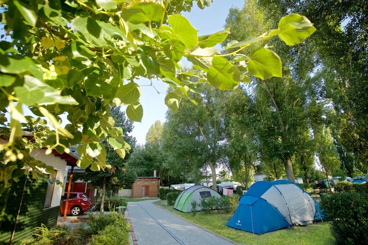 Wohnmobilstellplatz: Barack Thermal Camping Tiszakécske