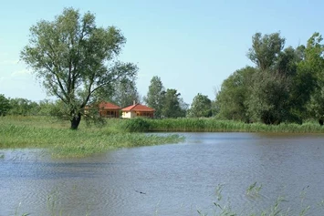 Wohnmobilstellplatz: Naturpark Puszta Eldorado  - Camping Puszta Eldorado