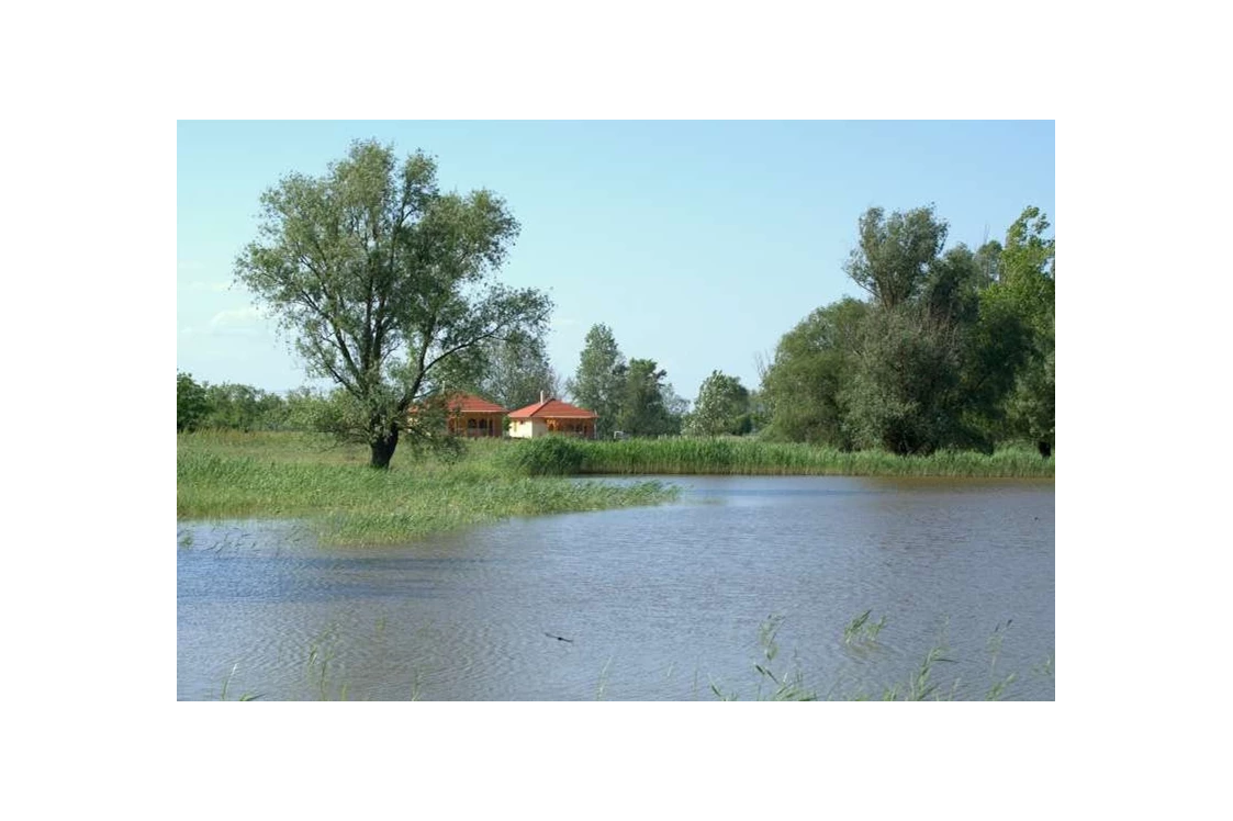 Wohnmobilstellplatz: Naturpark Puszta Eldorado  - Camping Puszta Eldorado