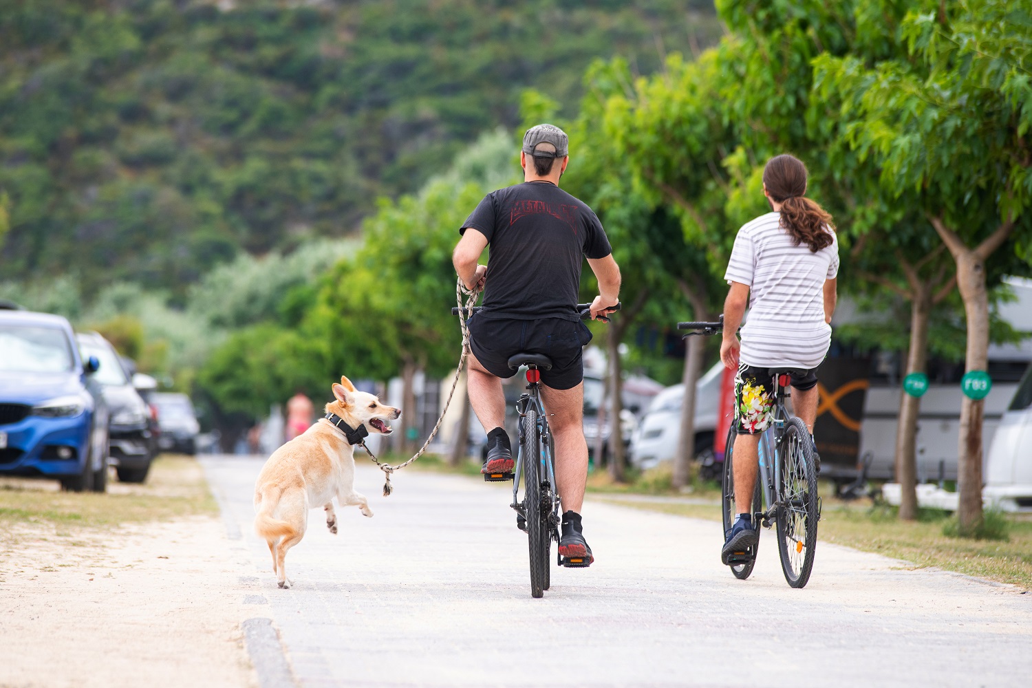 área camper - Stromanschluss - Grecia - Camping Thalatta Kalamitsi Village