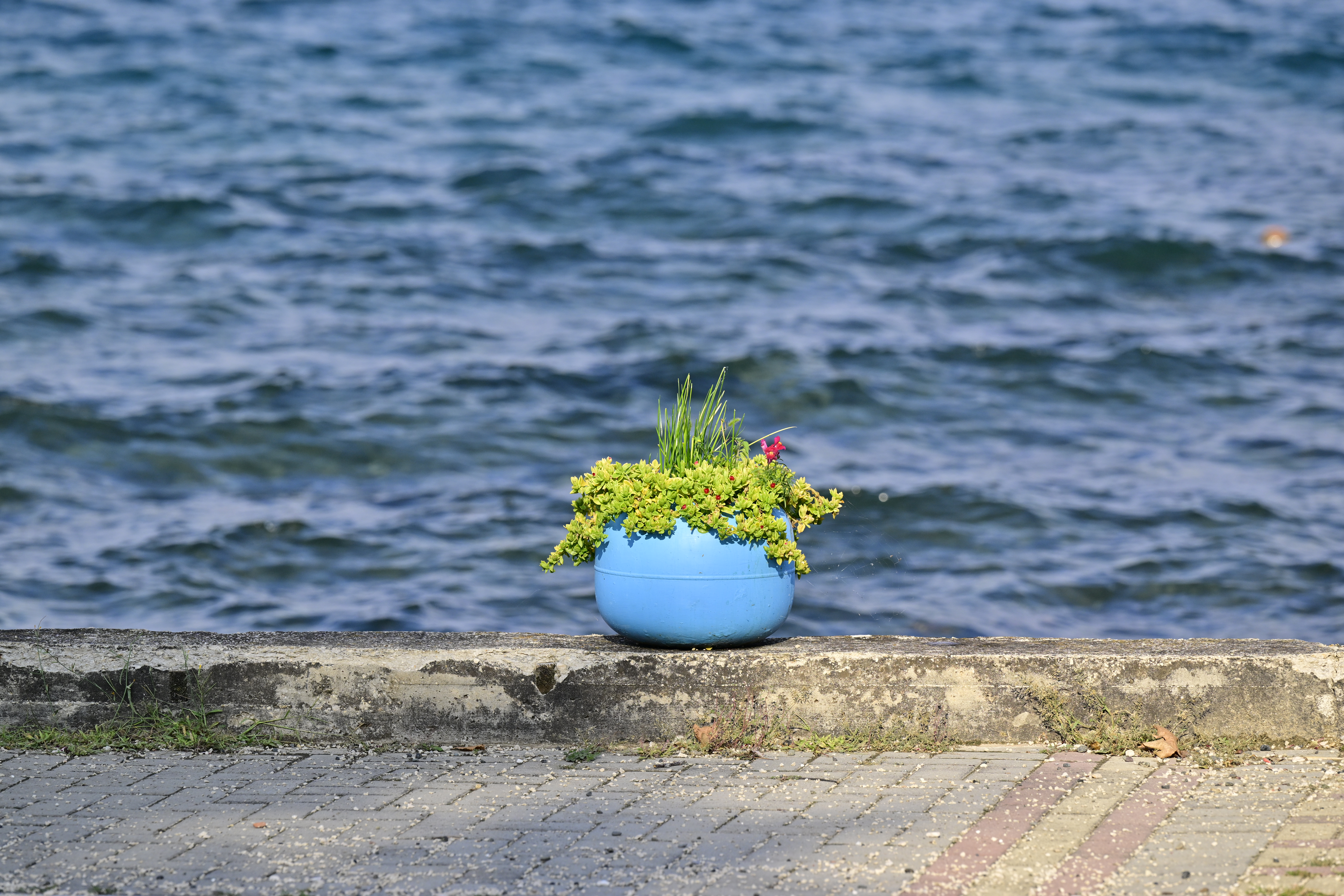 Reisemobilstellplatz: Camping Peshku