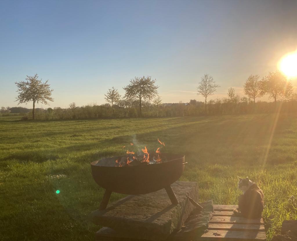 Wohnmobilstellplatz: Am Mühlturm auf der Streuobstwiese (Einzelstellplatz, Sauna)