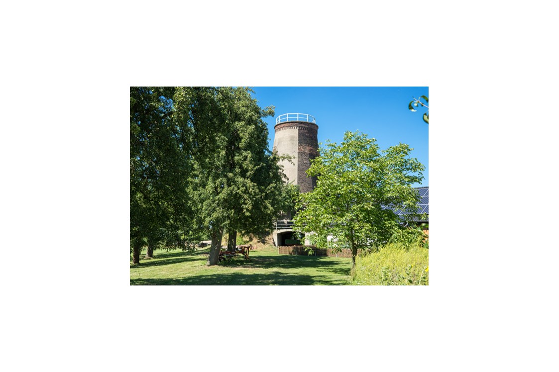 Wohnmobilstellplatz: Hier kann dein Stellplatz sein 💫 - Campen am Mühlturm im Münsterland (Einzelstellplatz)