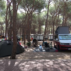 Wohnmobilstellplatz: Campingplatz Baia Blu La Tortuga****