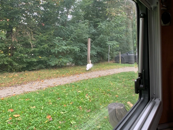 RV Campsite