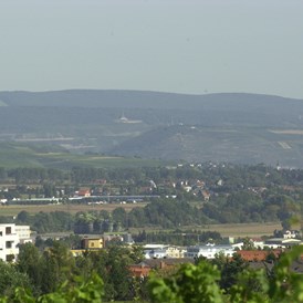 Wohnmobilstellplatz: Blick vom Stellplatz in das Rheintal, mit Niederwalddenkmal - Stellplatz am Weingut Desoi