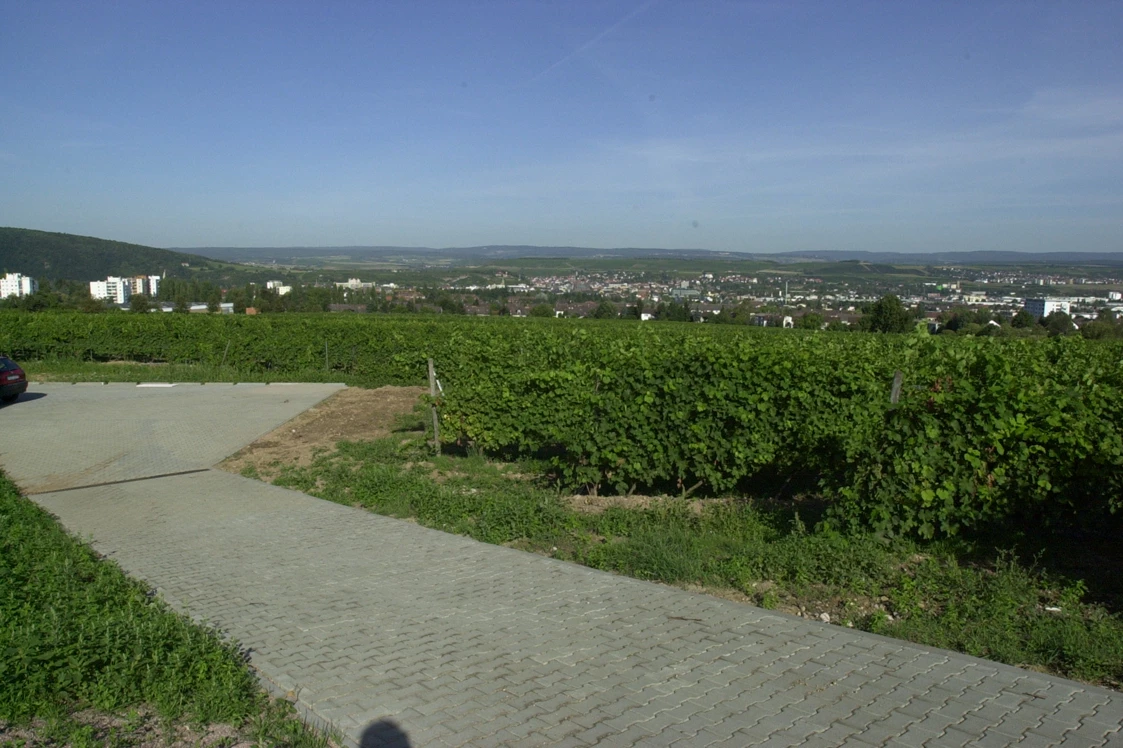 Wohnmobilstellplatz: Zufahrt zum Stellplatz - Stellplatz am Weingut Desoi