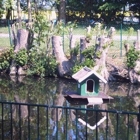 Wohnmobilstellplatz: Der idyllische Hausteich lädt mit seinen Enten und Goldfischen zum Beobachten, Träumen und Entspannen ein. - Stellplatz am Ferienhof Höper