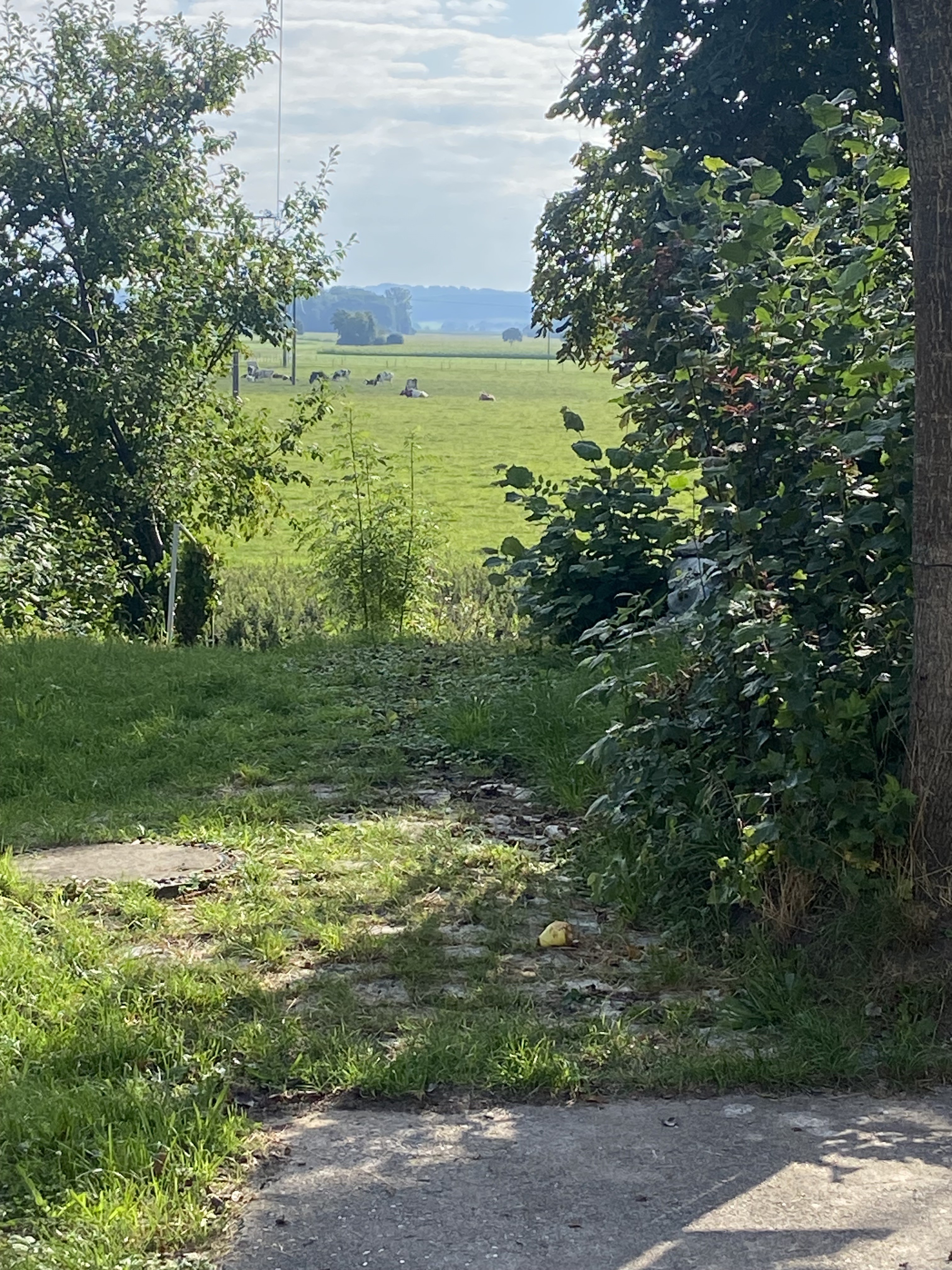 Wohnmobilstellplatz: Blick zum östlichen Riesrand - Hermanns Dorfidylle,Landhof im Ries, Nordschwaben