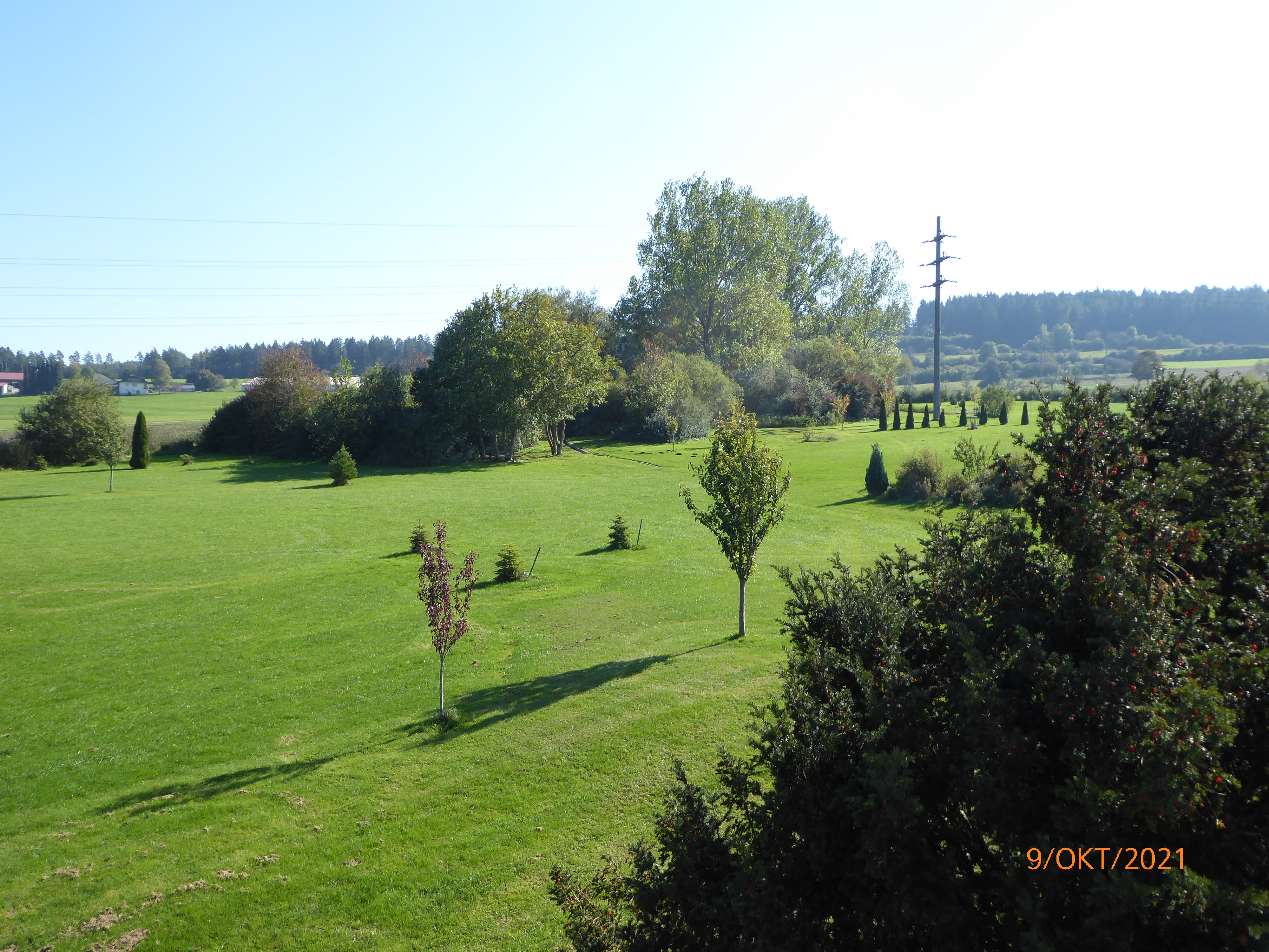 Wohnmobilstellplatz: Garten - Rosis Fremdenzimmer und Wohnmobilstellplätze