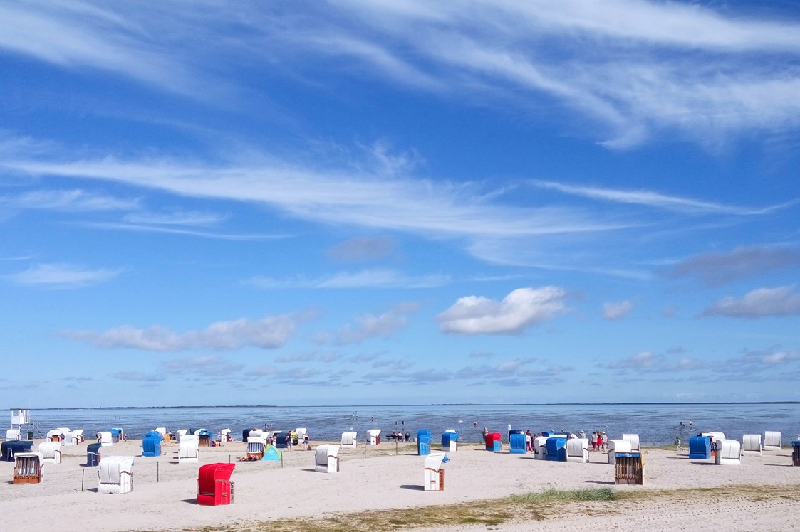 Wohnmobilstellplatz: Entspannen Sie in einem der vielen Strandkörbe oder nehmen Sie ein erfrischendes Bad in der Nordsee. - Wohnmobilstellplatz am Campingplatz Harlesiel