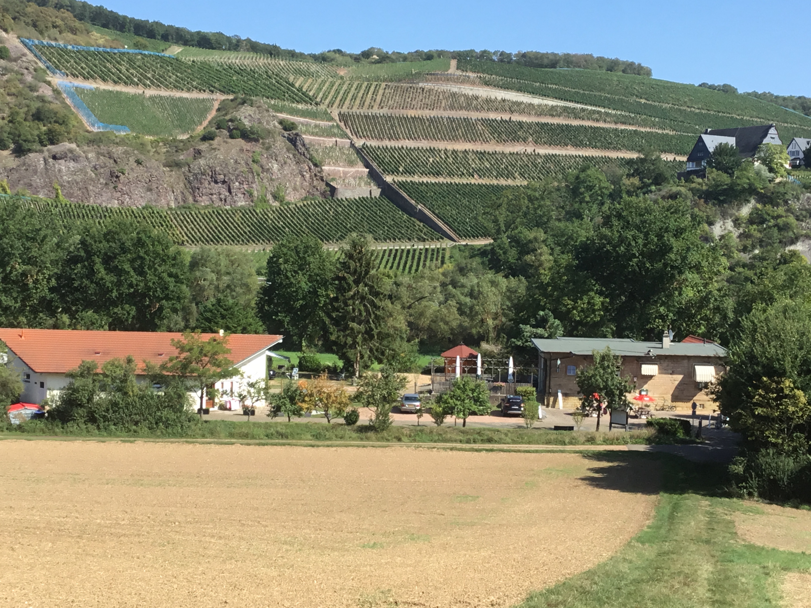 Reisemobilstellplatz - Naheland - Weinbergen - Camping Nahetal