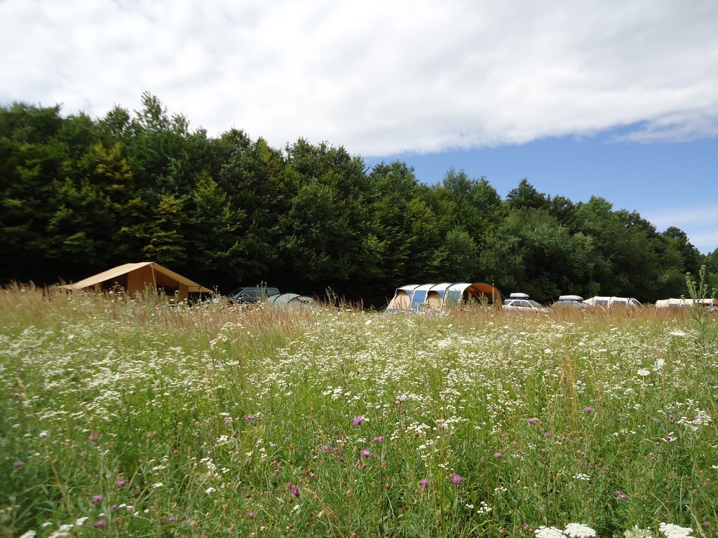 Place de parking pour camping-car - Nógrád - Farm & Camping Lazy