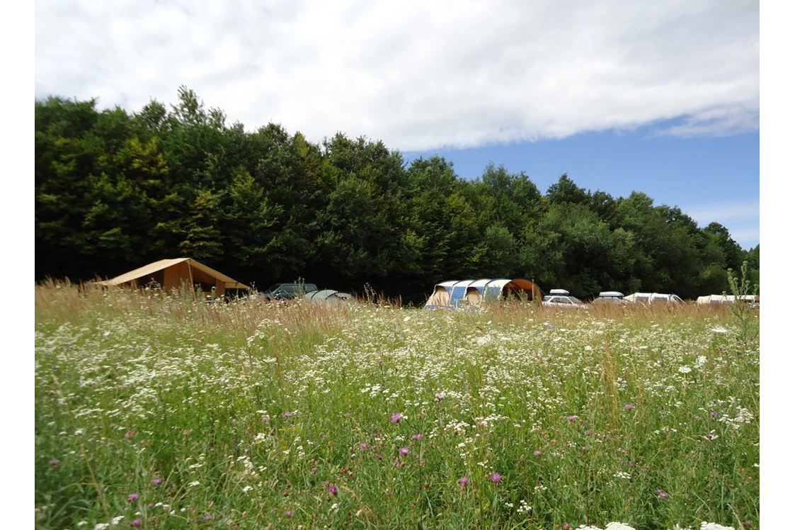 Wohnmobilstellplatz: Farm & Camping Lazy