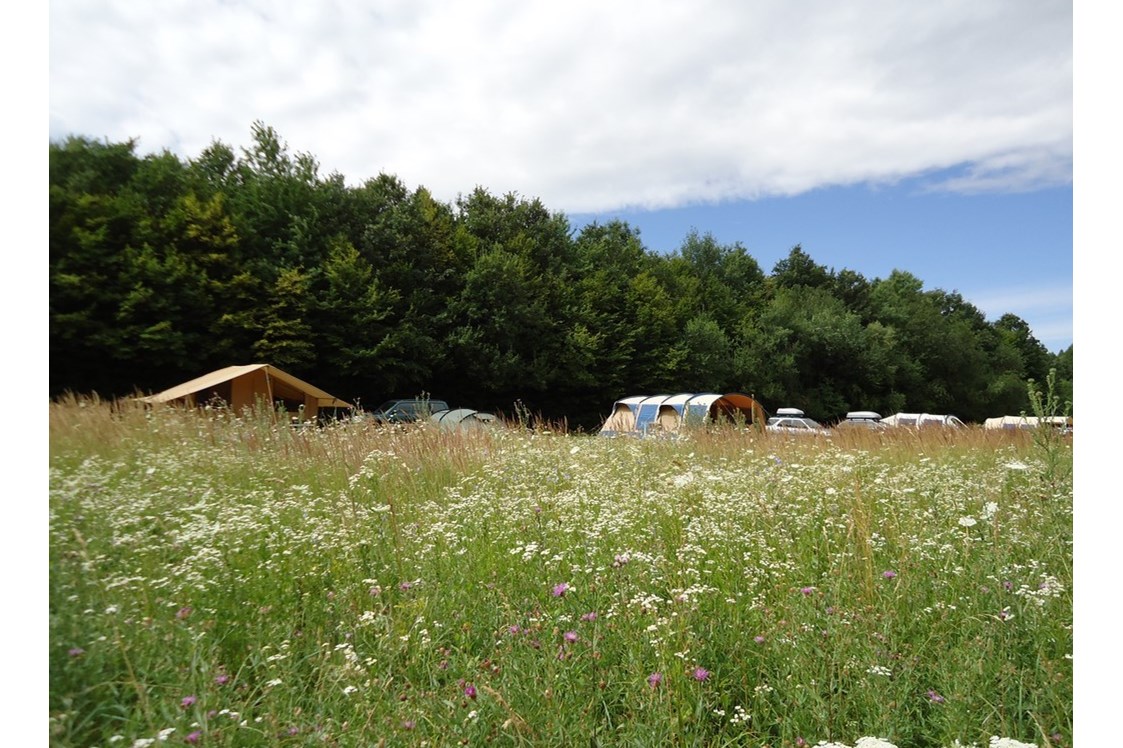 Wohnmobilstellplatz: Farm & Camping Lazy