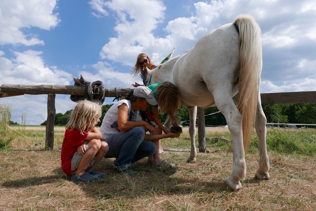 Place de parking pour camping-car - Nógrád - Farm & Camping Lazy