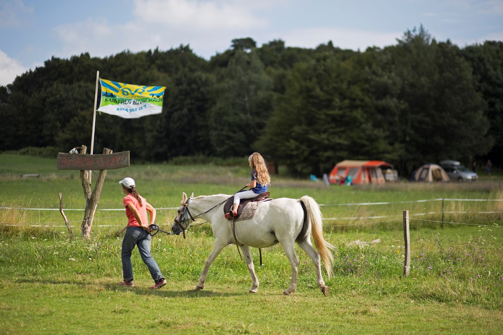 Reisemobilstellplatz: Farm & Camping Lazy