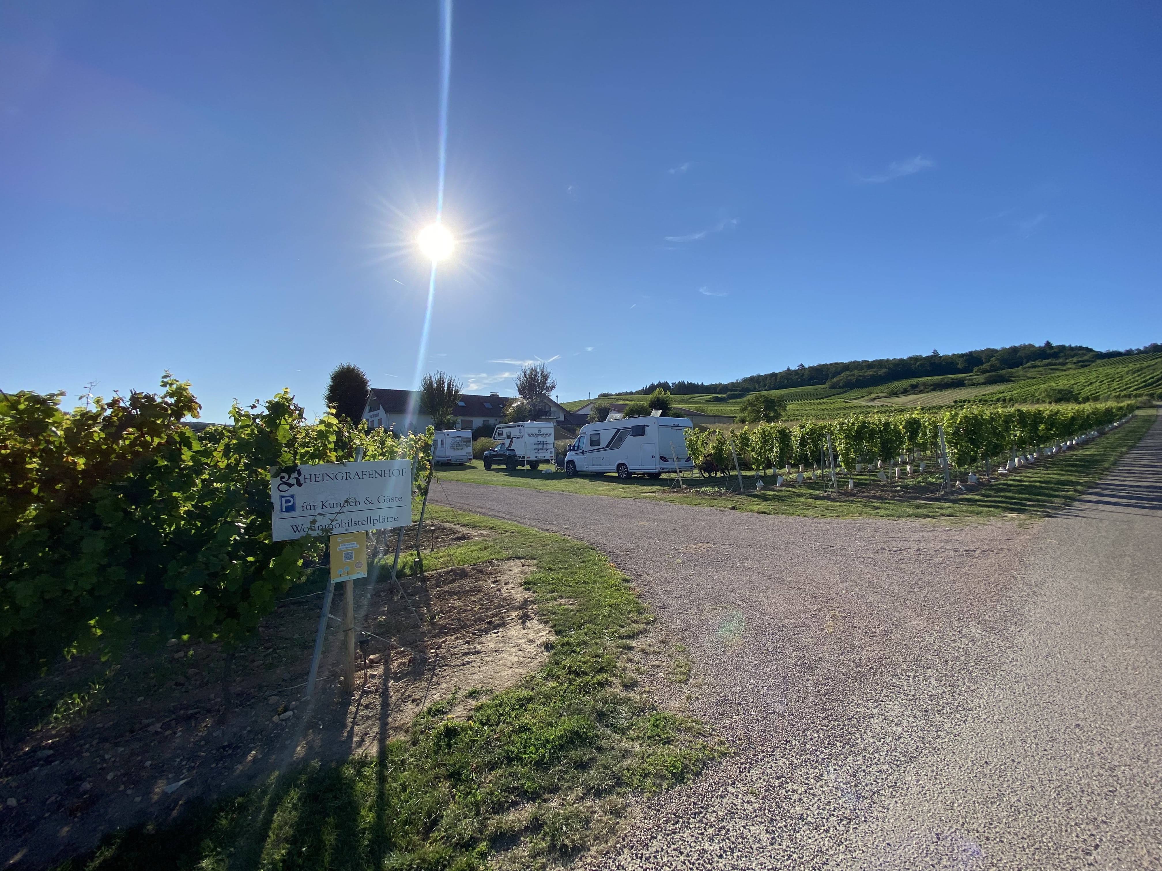 Wohnmobilstellplatz: Weingut in den Weinbergen