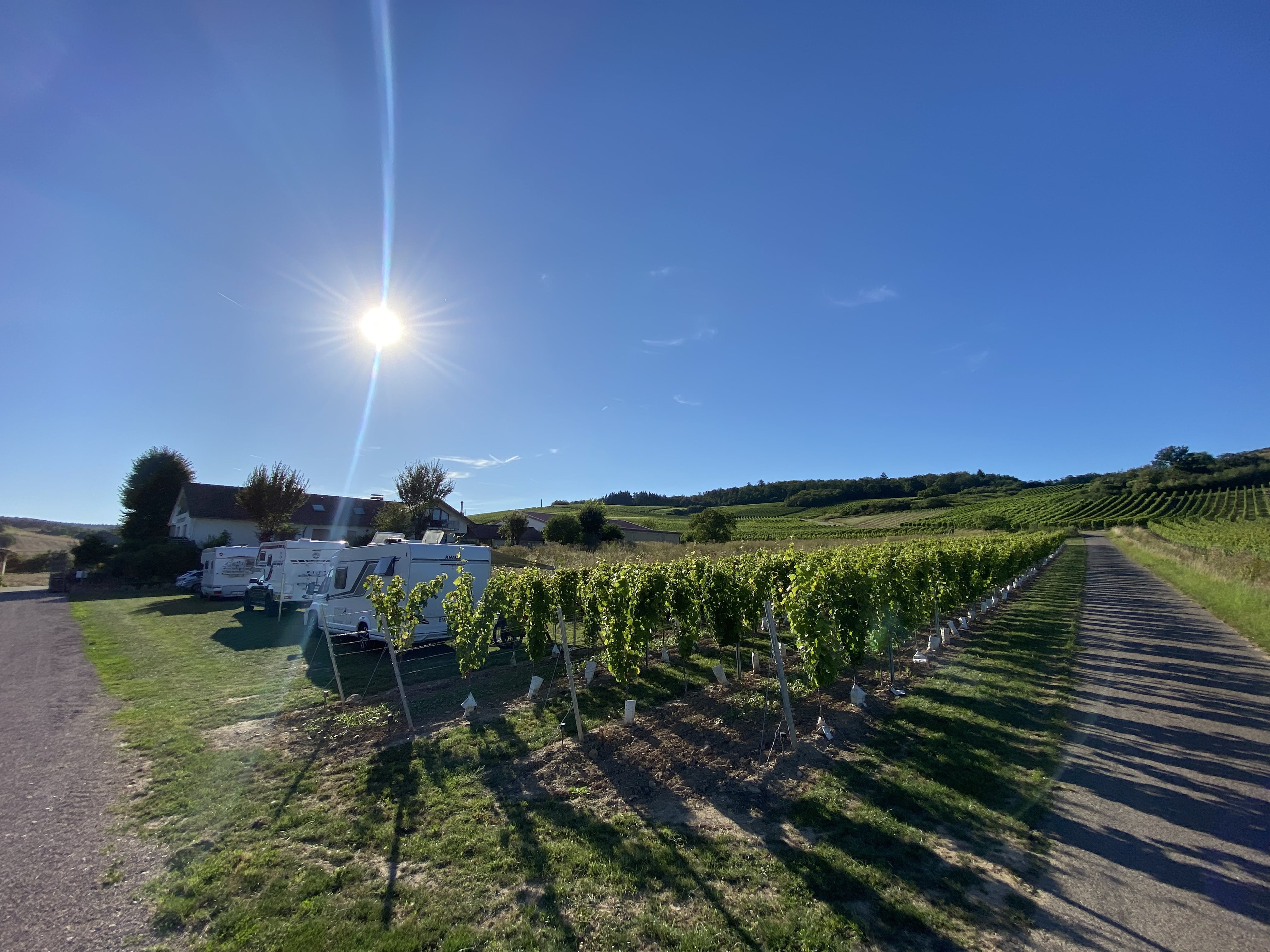 Wohnmobilstellplatz: Weingut in den Weinbergen