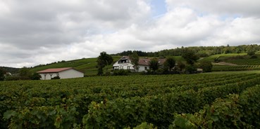 Reisemobilstellplatz - Wohnwagen erlaubt - Frei-Laubersheim - Weingut in den Weinbergen