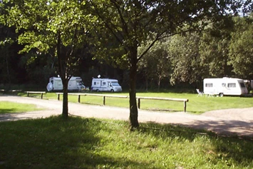 Wohnmobilstellplatz: Bildquelle: http://www.waldparkplatz-bansin.de - Waldparkplatz Bansin