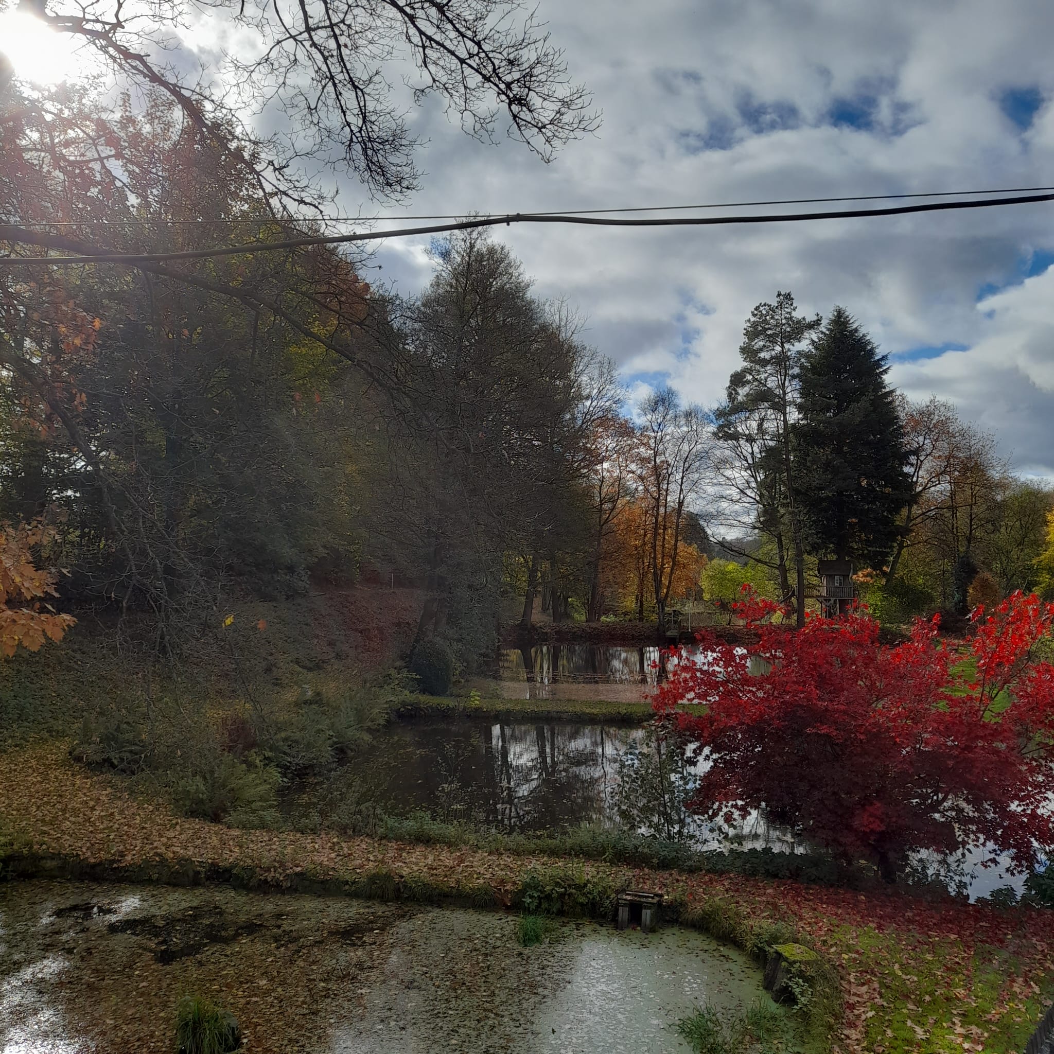 Wohnmobilstellplatz: Menzerather Weiher