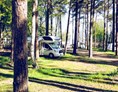 Wohnmobilstellplatz: Camping - Regenbogen Nonnevitz
