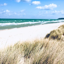 Wohnmobilstellplatz: Strand - Regenbogen Nonnevitz