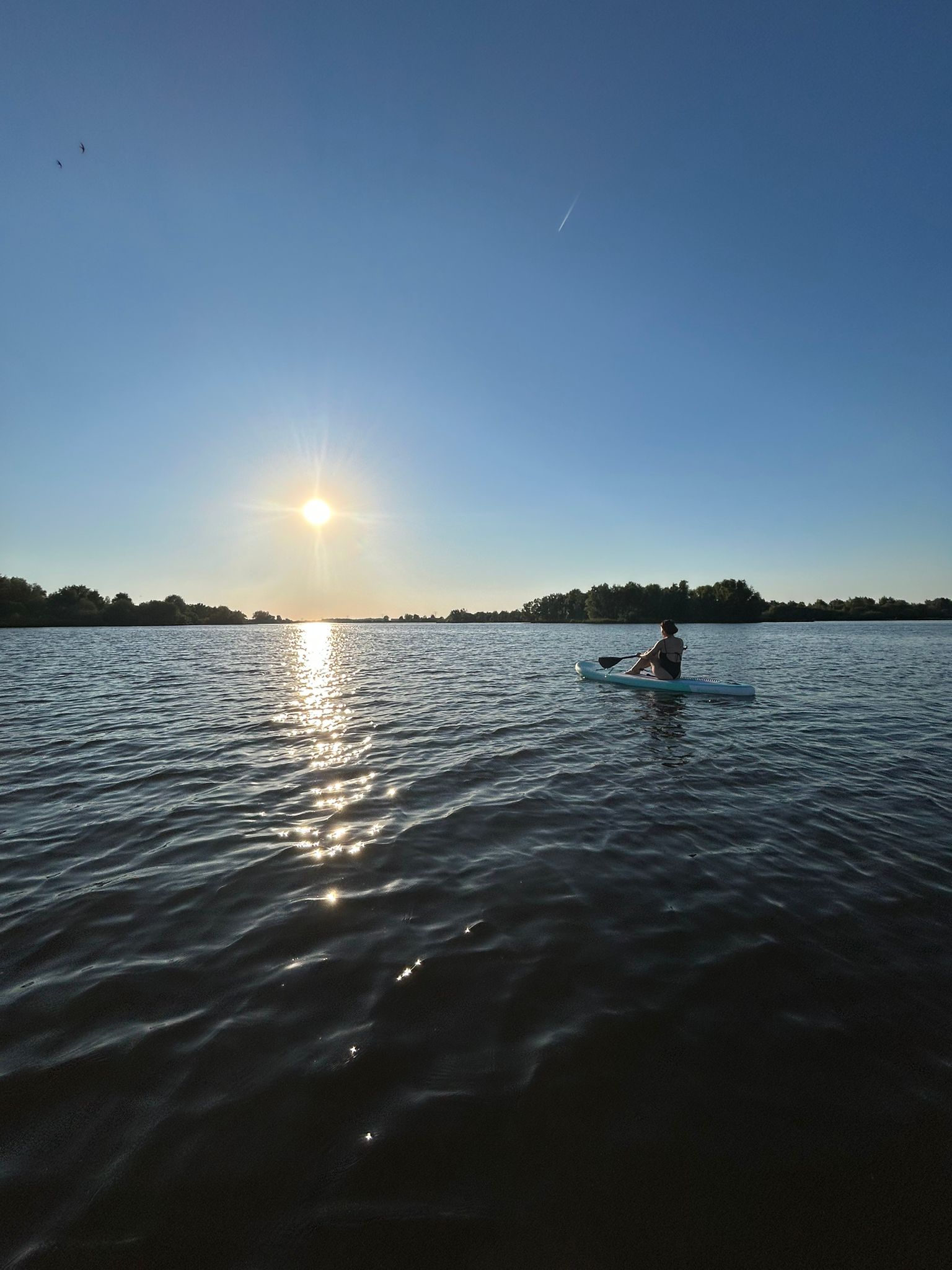 Wohnmobilstellplatz:  Minicampingplatz Kastanjehoeve Goeree Overflakkee