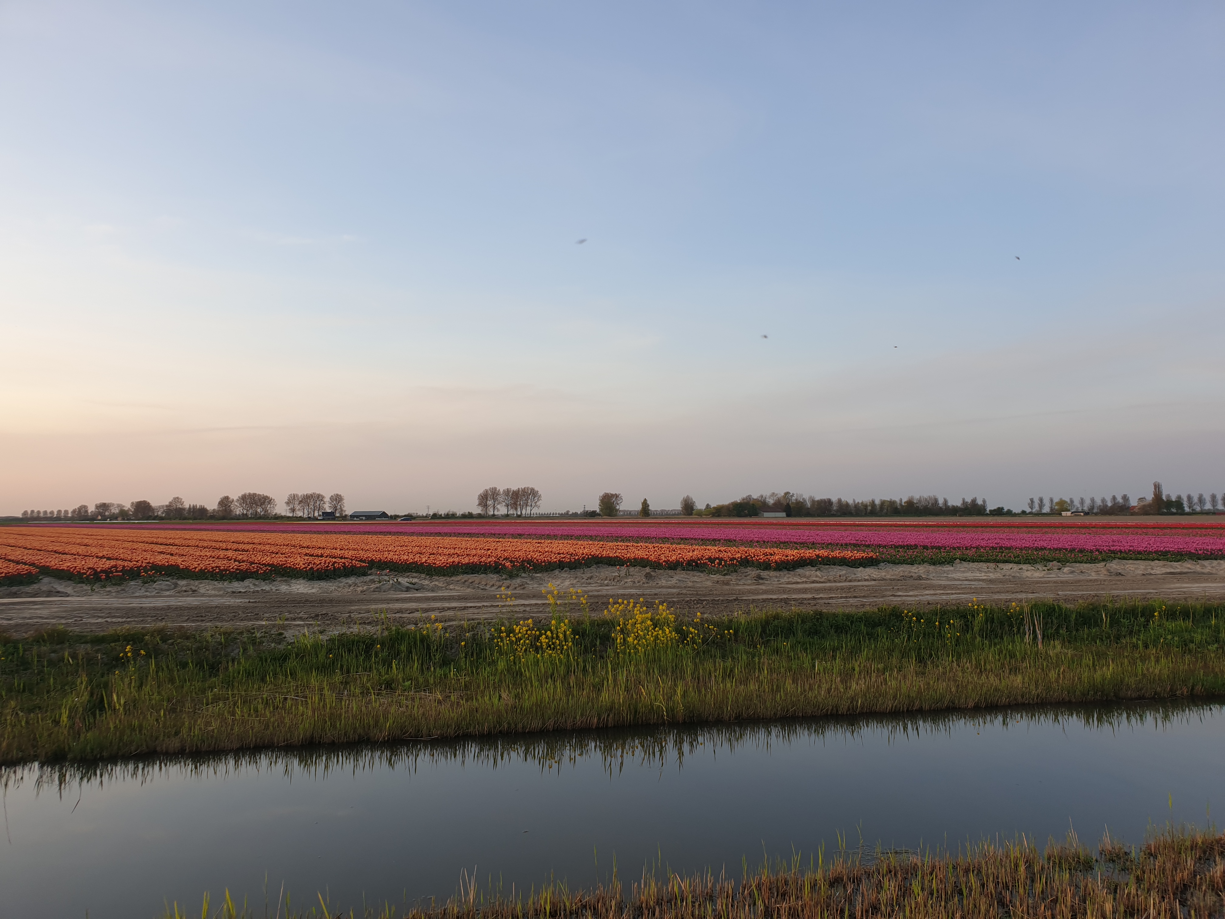 Wohnmobilstellplatz: Aan brede kreek en natuurgebiedje -  Minicampingplatz Kastanjehoeve Goeree Overflakkee