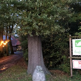 Wohnmobilstellplatz: Eingang zum Ferienhof und Bauerncafe BrinkOrt Warmsen - Ferienhof BrinkOrt
