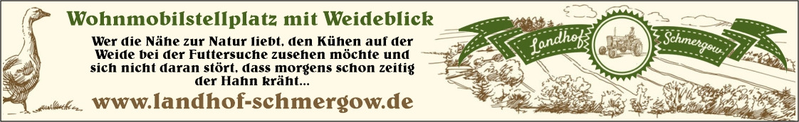 Wohnmobilstellplatz: Wohnmobil-Stellplatz mit Weideblick