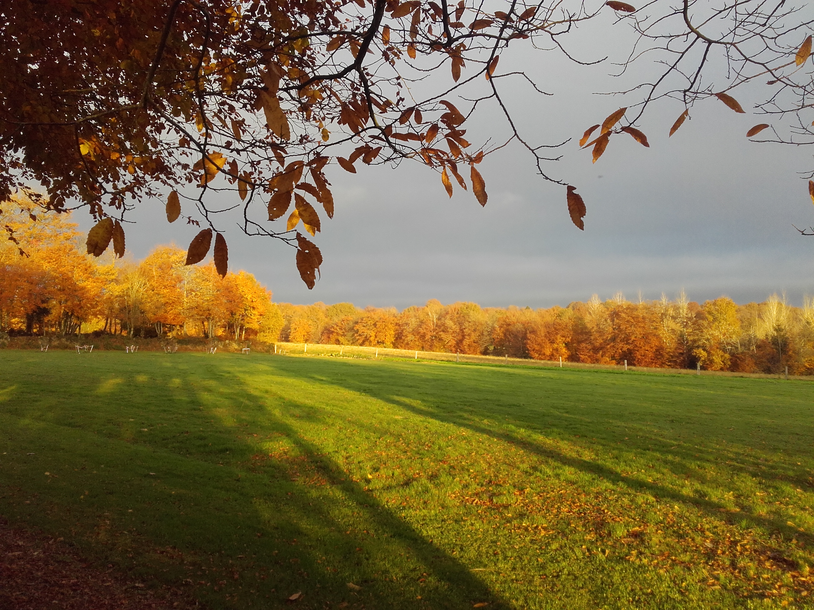 Reisemobilstellplatz - Basse Normandie - Flammender Herbst, dies ist das Stellplatz- Feld.
 - Normandie Bocage 65km vom Mont Saint Michel mitten im Feld mit Weitblick