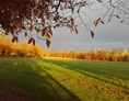 Wohnmobilstellplatz: Flammender Herbst, dies ist das Stellplatz- Feld.
 - Normandie Bocage 65km vom Mont Saint Michel mitten im Feld mit Weitblick