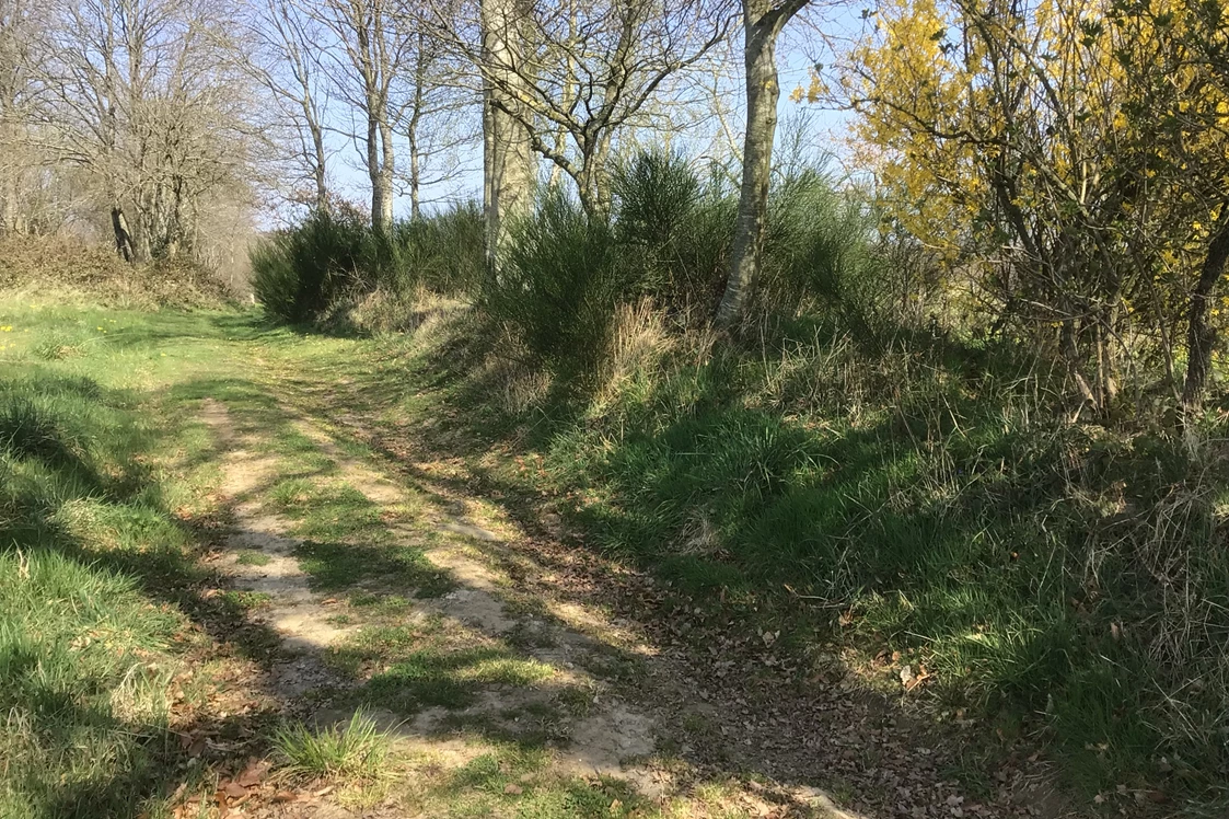 Wohnmobilstellplatz: Dies ist der sehr holprige Zufahrtsweg zu dem grossen Feld, es gibt noch viele Schlaglöcher, nur kleinere Campingbusse kommen gut durch. - Normandie Bocage 65km vom Mont Saint Michel mitten im Feld mit Weitblick