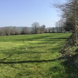 Wohnmobilstellplatz: Blick vom Standplatz aus. - Normandie Bocage 65km vom Mont Saint Michel mitten im Feld mit Weitblick