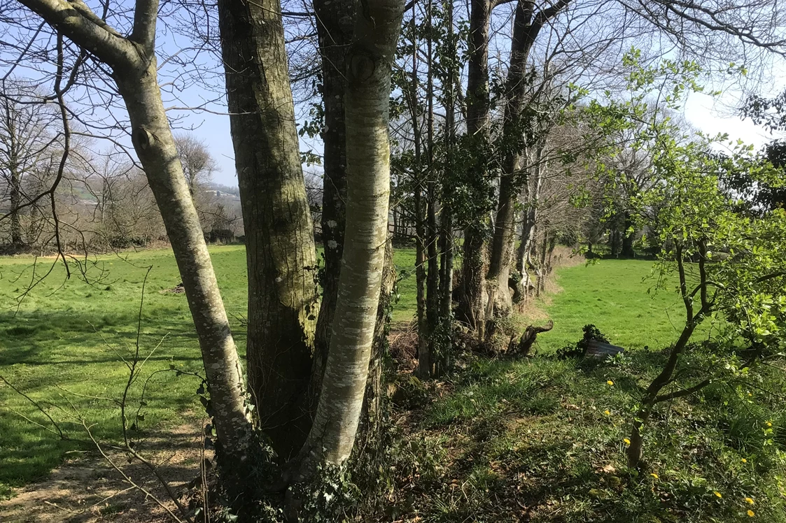 Wohnmobilstellplatz: Das ist der Bocage: Felder, umrandet  von alten Hecken. - Normandie Bocage 65km vom Mont Saint Michel mitten im Feld mit Weitblick