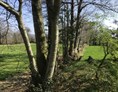 Wohnmobilstellplatz: Das ist der Bocage: Felder, umrandet  von alten Hecken. - Normandie Bocage 65km vom Mont Saint Michel mitten im Feld mit Weitblick