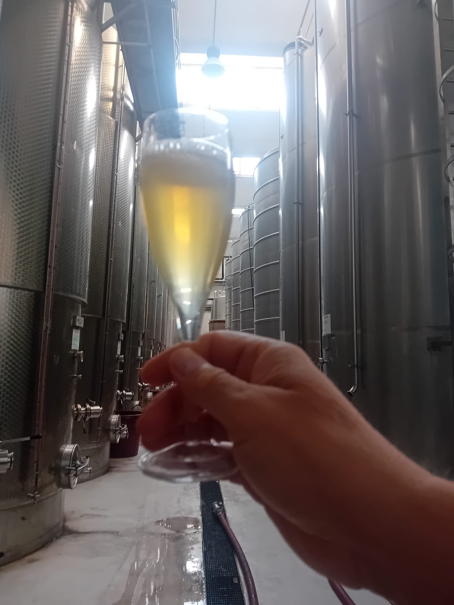 Wohnmobilstellplatz: Area sosta la Cantina del vino Barga