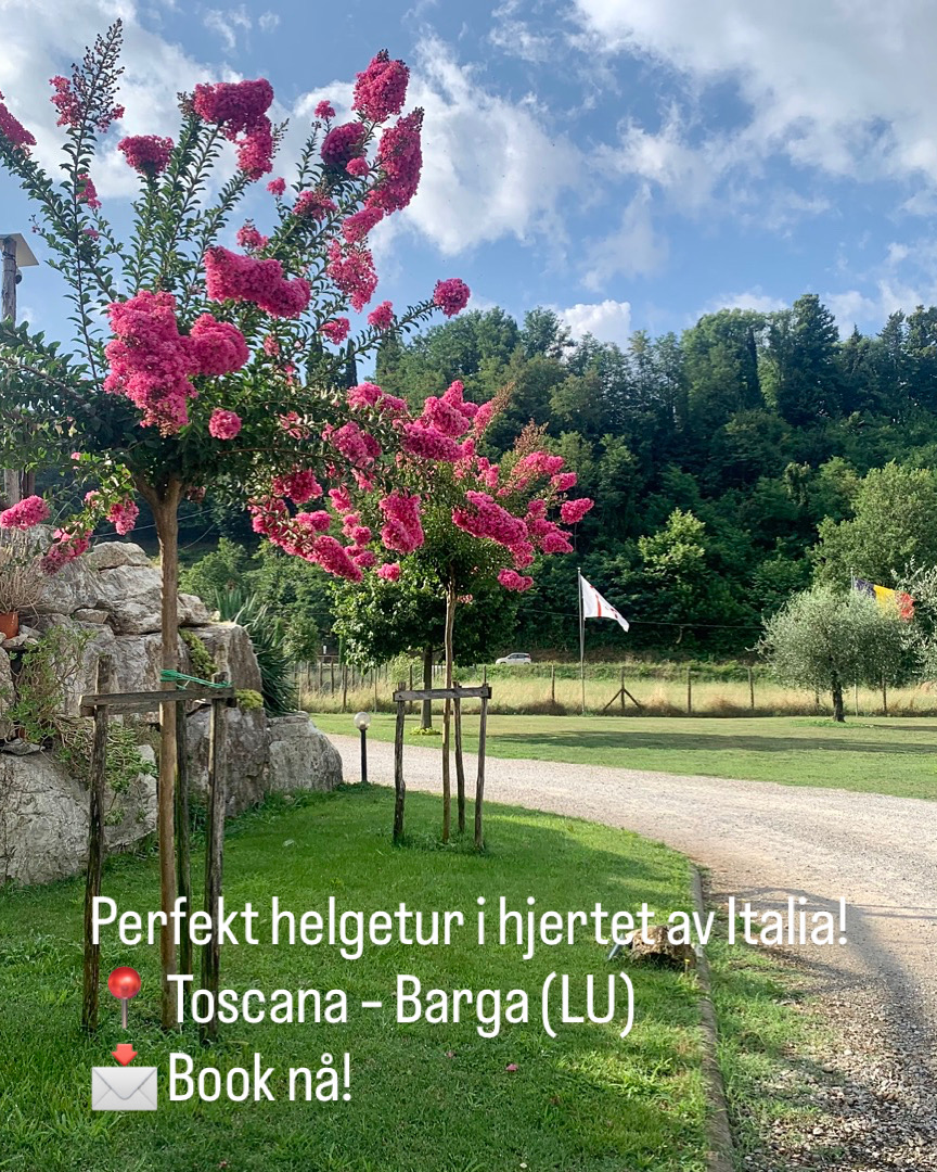 Wohnmobilstellplatz: Area sosta la Cantina del vino Barga