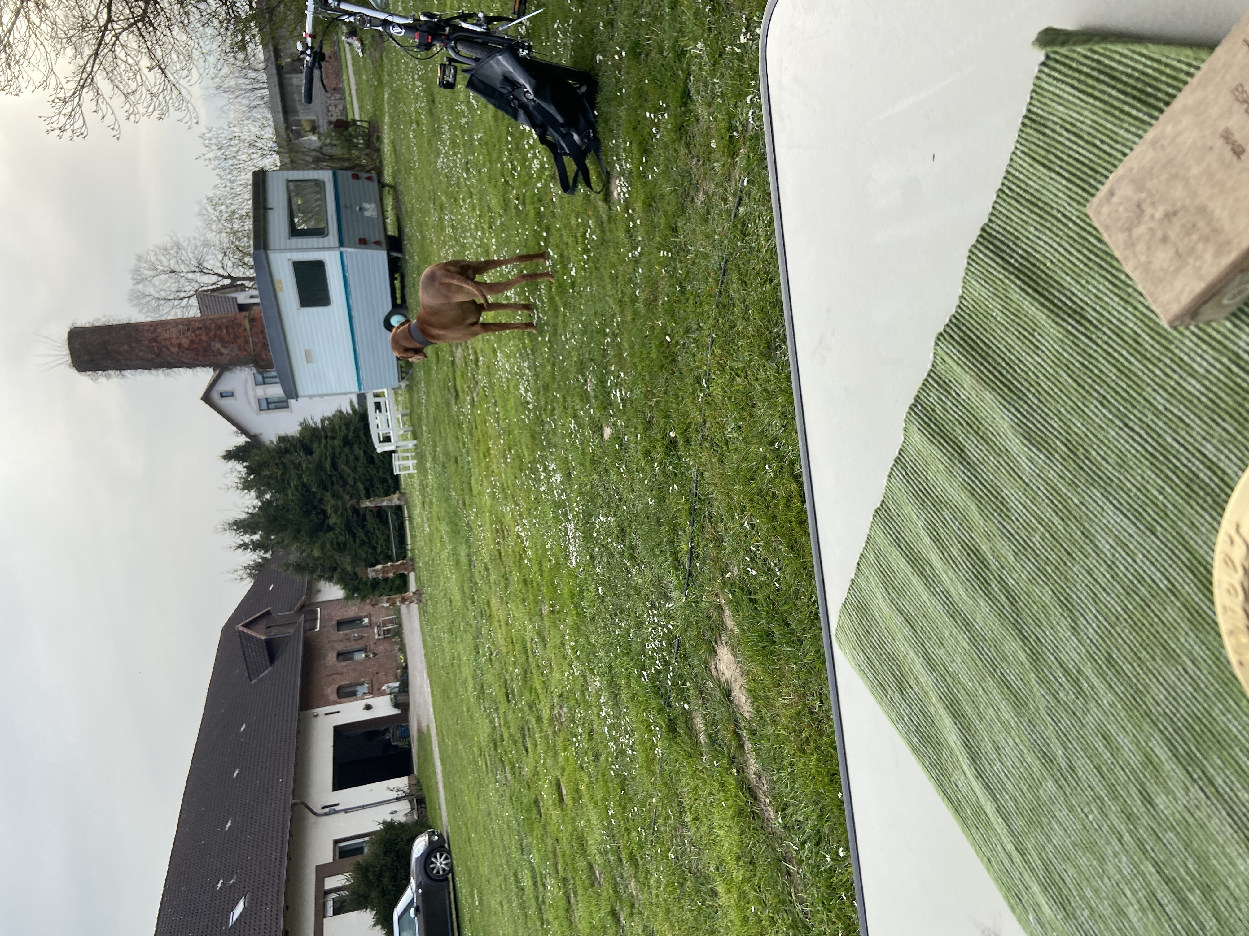 Wohnmobilstellplatz: Hyggehof Aerzen