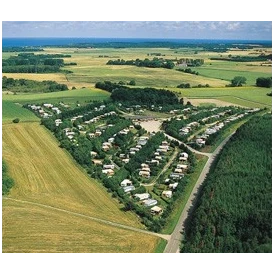 Wohnmobilstellplatz: Homepage http://rosenholm.dk-camp.dk - Rosenholm Camping