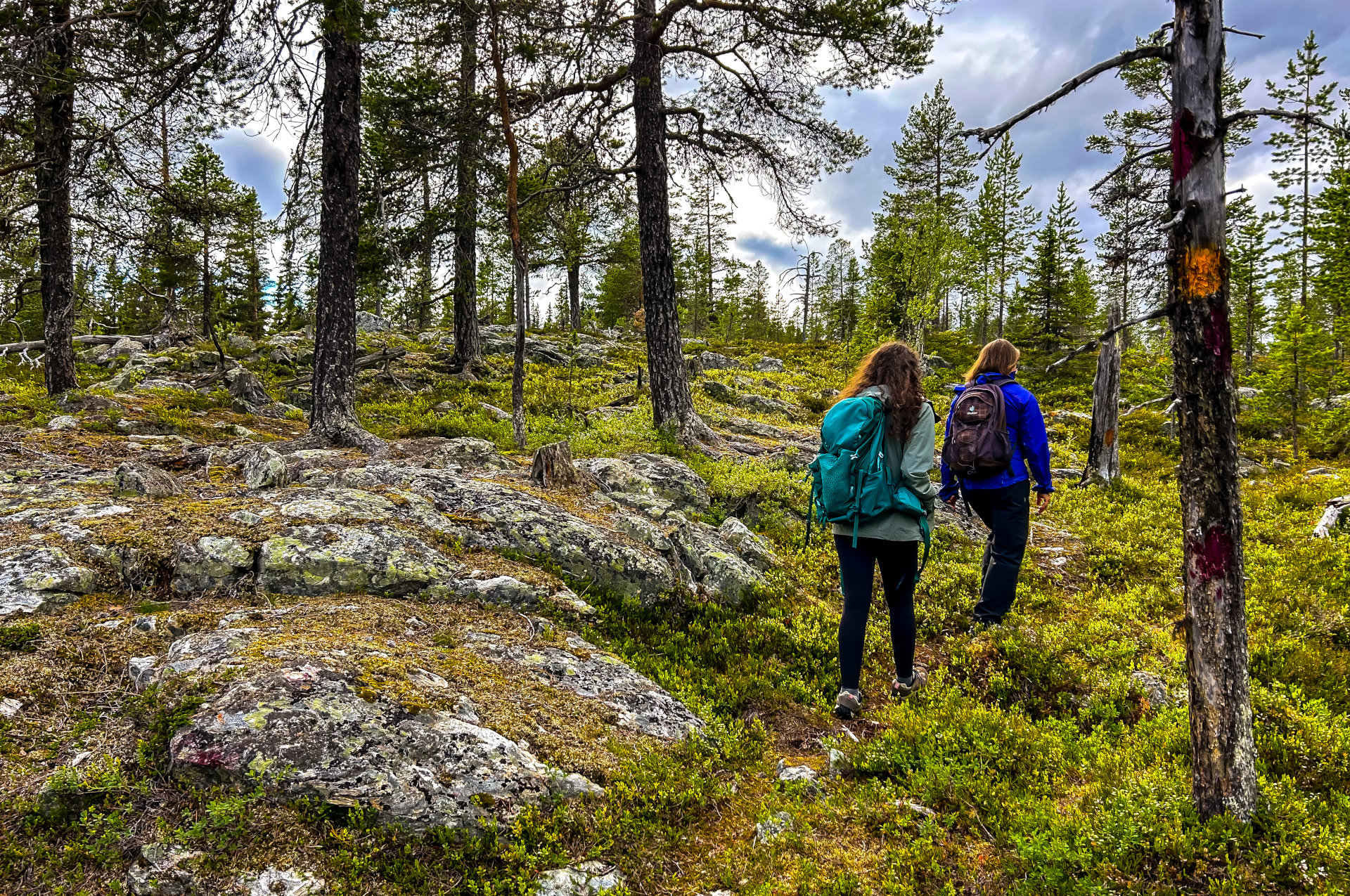 Wohnmobilstellplatz: Wandern in der Umgebung - Galå Fjällgård