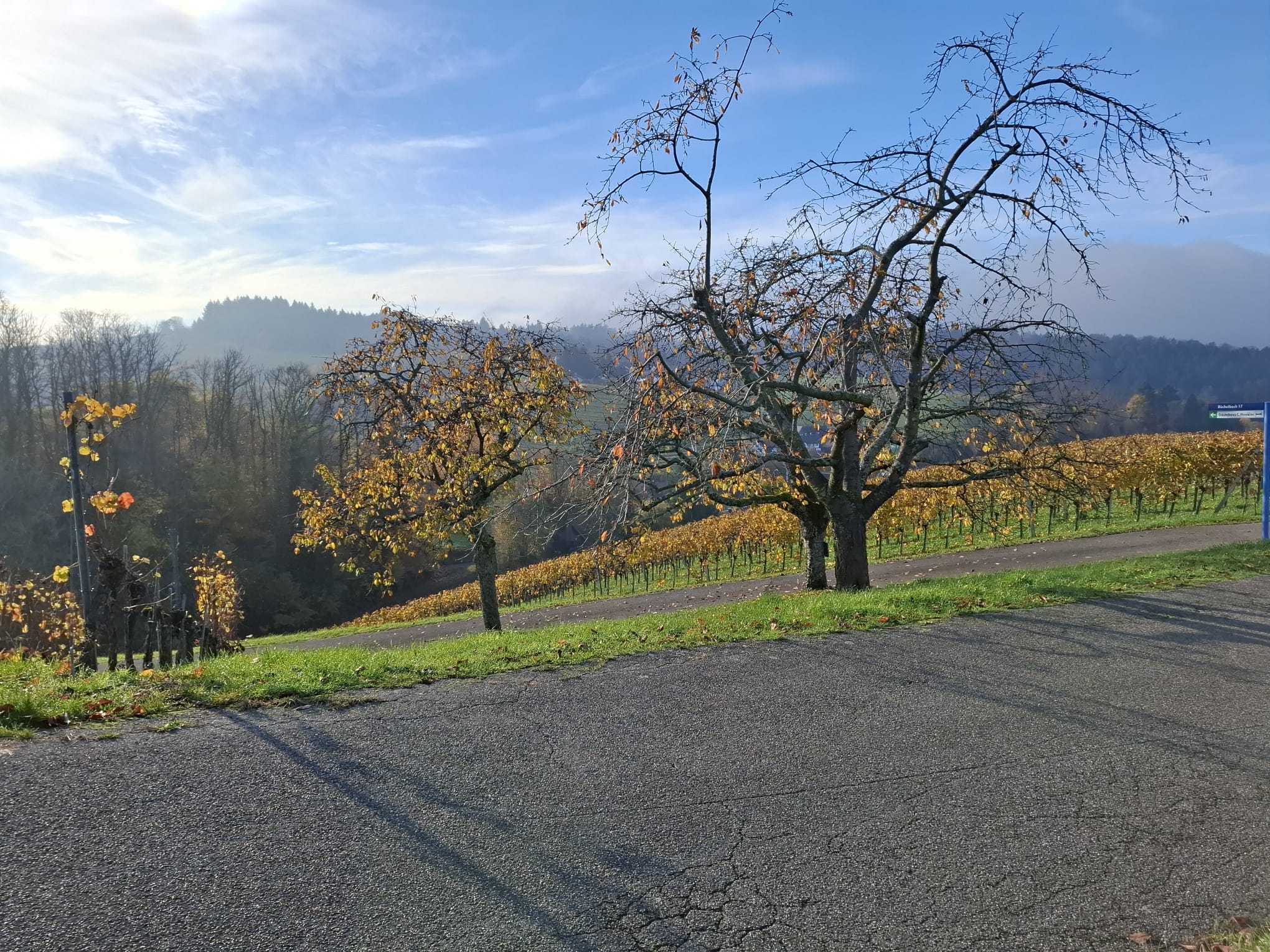 RV park - Bas Rhin - Umgebung  - Stellplatz "nicht von der Stange" nah beim Königsrain    