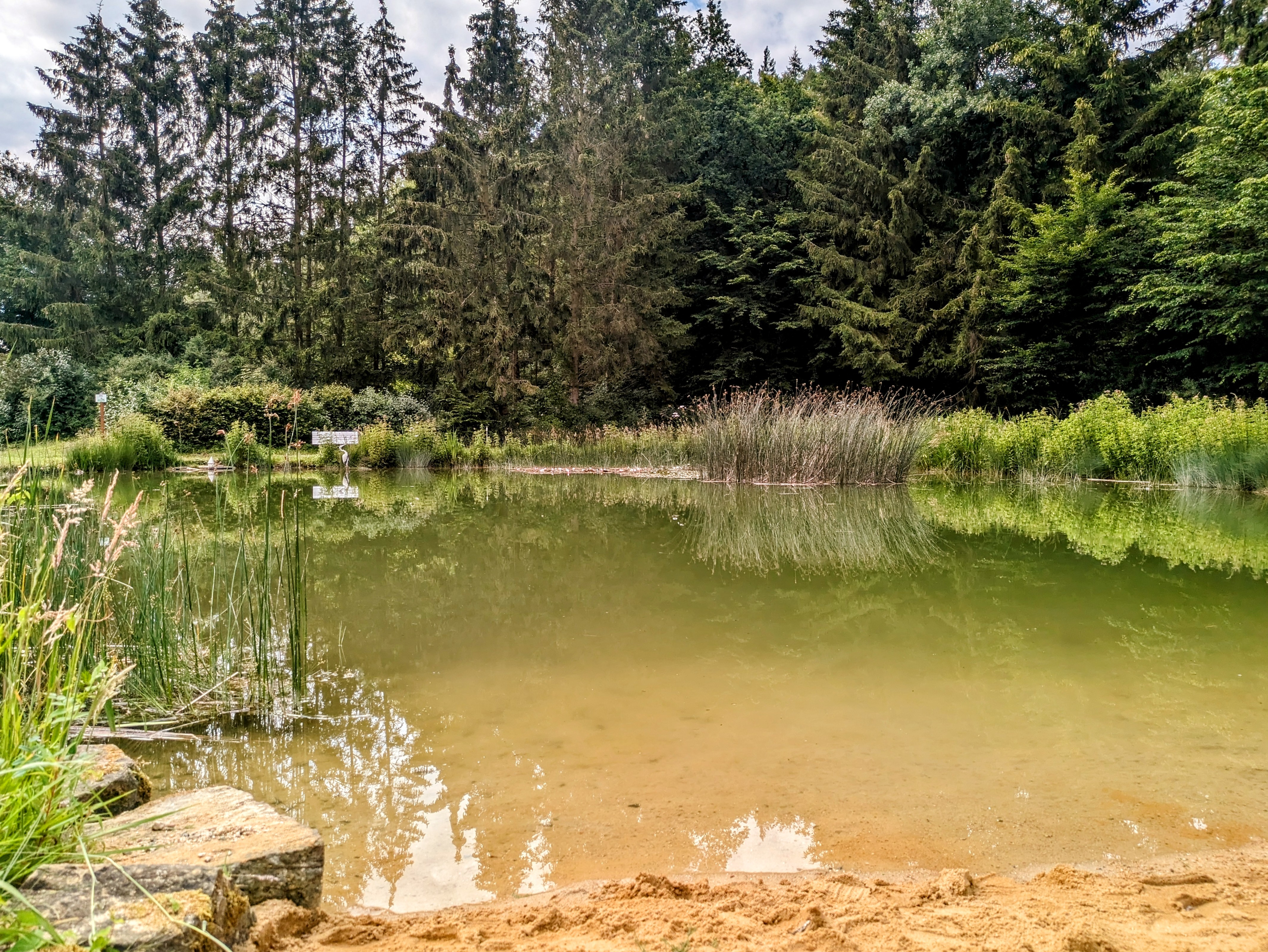 kampeerplaats voor campers - Nedersaksen - Unser Badeteich mit Frischwasserzulauf - Wohnmobil- und Campingpark Ambergau