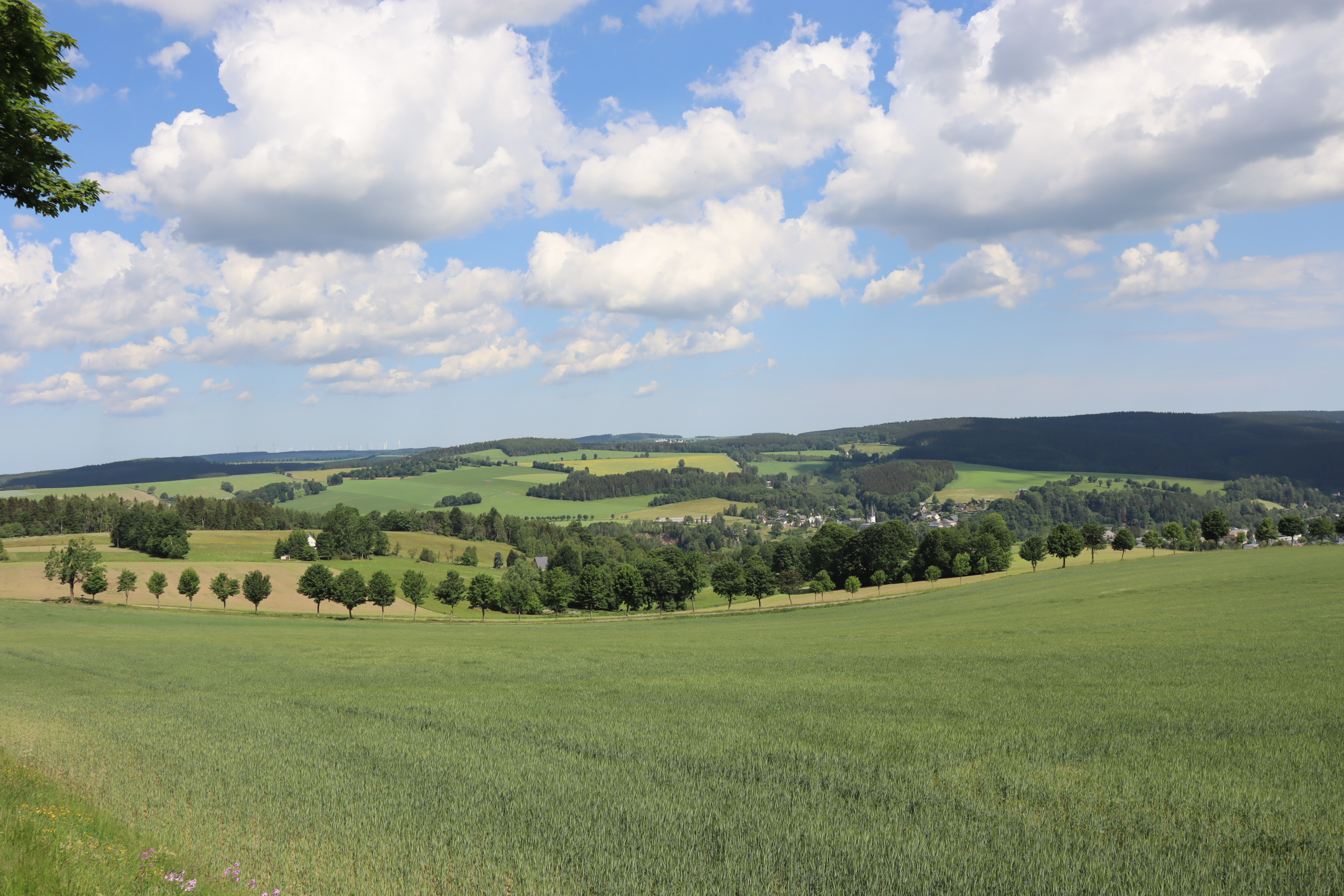 Wohnmobilstellplatz: Stellplatz am Waldgasthof "Bad Einsiedel" Kurort Seiffen